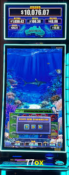 Ofertas Imperdíveis na 77ox: Promoções e Bônus Que Valem a Pena